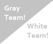 Gray and White Team